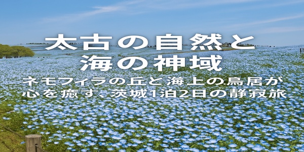 ネモフィラの丘と海上の鳥居が心を癒す、茨城1泊2日の静寂旅